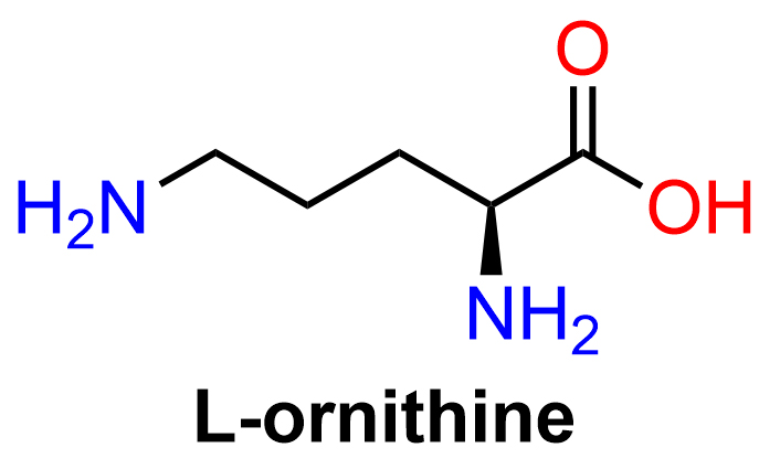 l ornithine powder